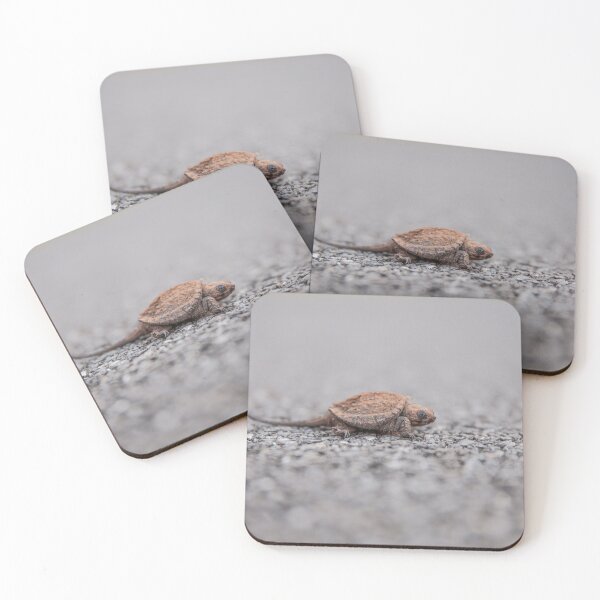 Item preview, Wild Baby Snapping Turtle  designed and sold by Stratus13.