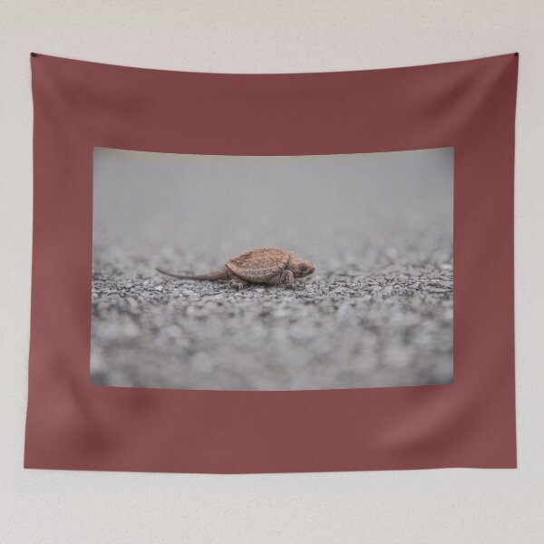 Item preview, Wild Baby Snapping Turtle  designed and sold by Stratus13.