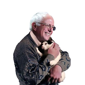 Vorschaubild zum Design BERNIE HÄLT EINE KATZE von marcellem