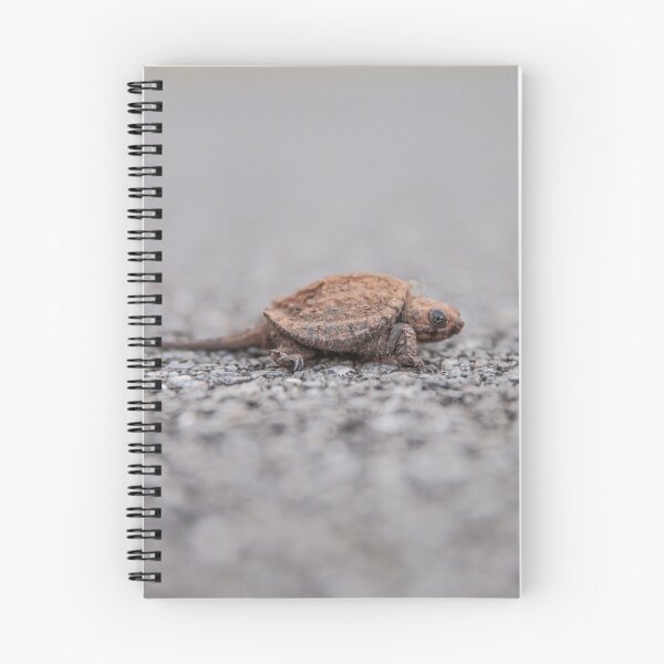 Item preview, Wild Baby Snapping Turtle  designed and sold by Stratus13.