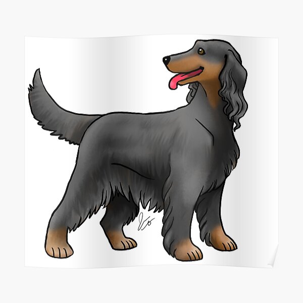 Irish Setter - Black and Tan Poster