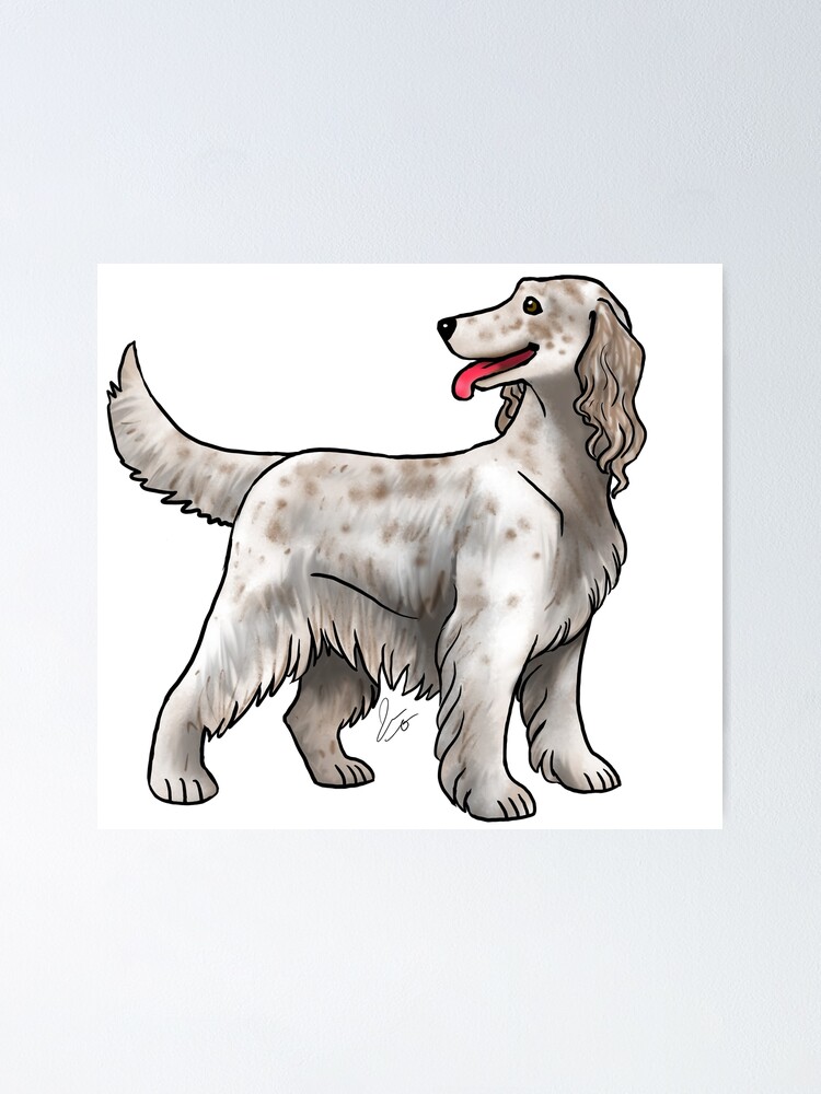 Alternate view of Irish Setter - Spotted Poster