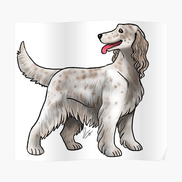 Irish Setter - Spotted Poster