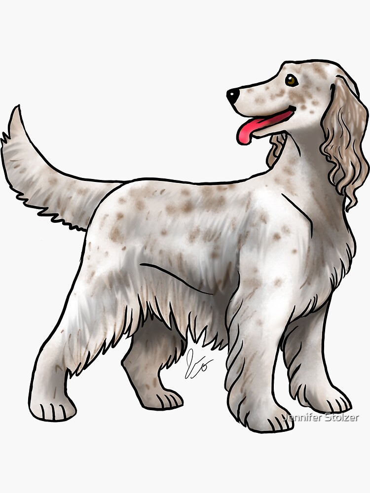 Irish Setter - Spotted by jameson9101322