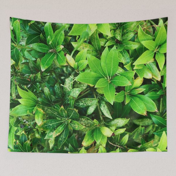 Item preview, small, cute green leaves photo designed and sold by robinverheul.