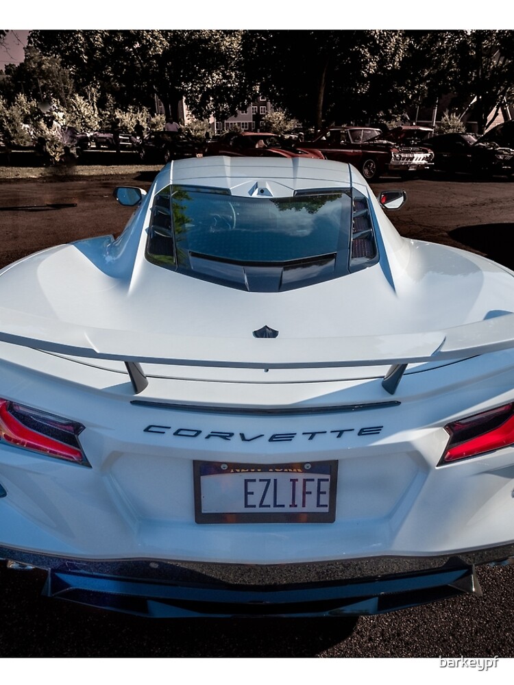 C8 Vette by barkeypf