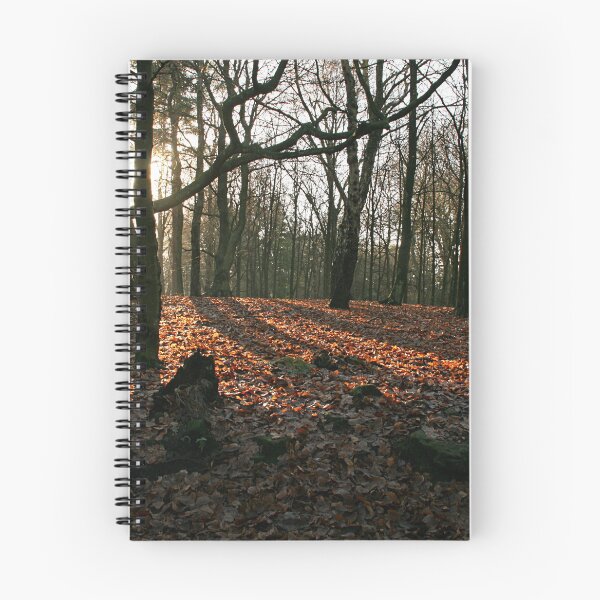 Item preview, Trees, sun and shadows designed and sold by jdphotos.