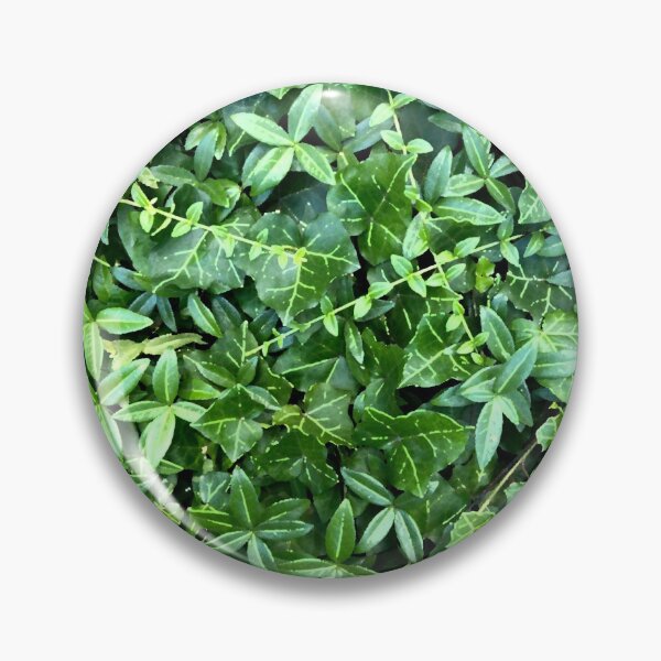 Item preview, Green Ivy designed and sold by Bieleckia.