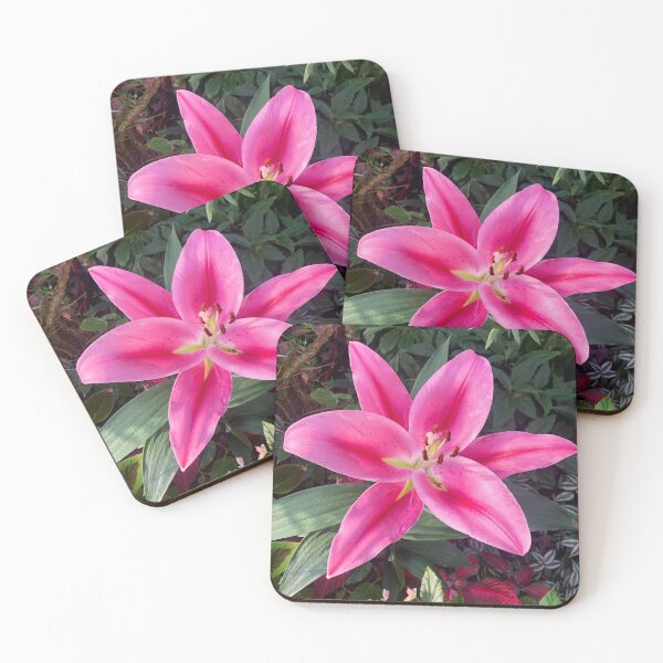 Item preview, Pink Lily - Longwood Gardens designed and sold by kibfqiis.