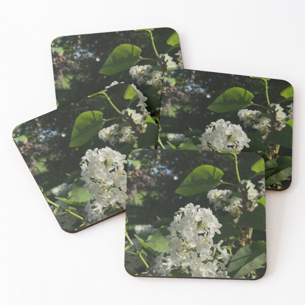 Item preview, Lilac plant  designed and sold by abpumatrumpet.