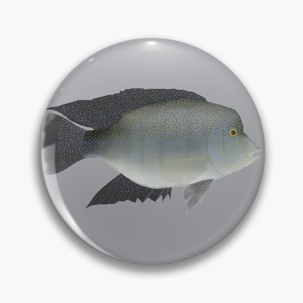 Item preview, Texas Cichlid designed and sold by fishfolkart.