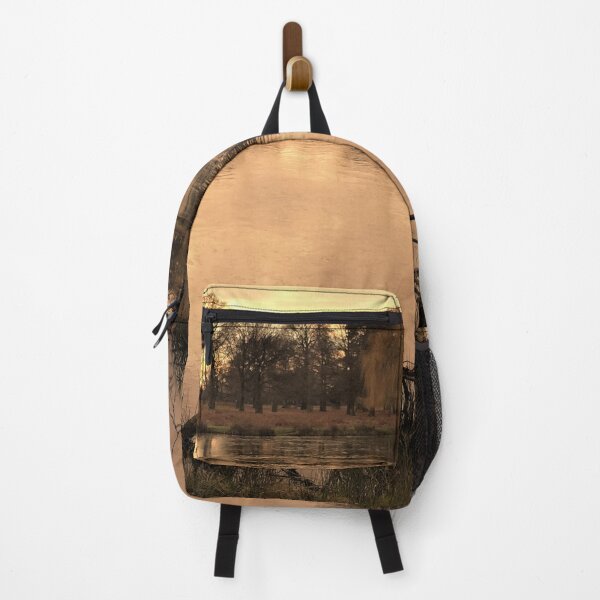Item preview, England -Bushy Park designed and sold by joabaj.