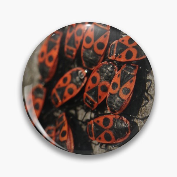Item preview, Fire Bugs  designed and sold by Gwenn Seemel.