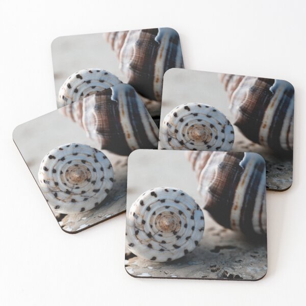 Item preview, Curiously Beautiful Seashell designed and sold by Elena Ray.