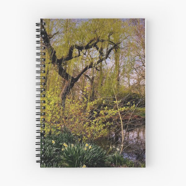 Item preview, England -Bushy Park- Spring designed and sold by joabaj.