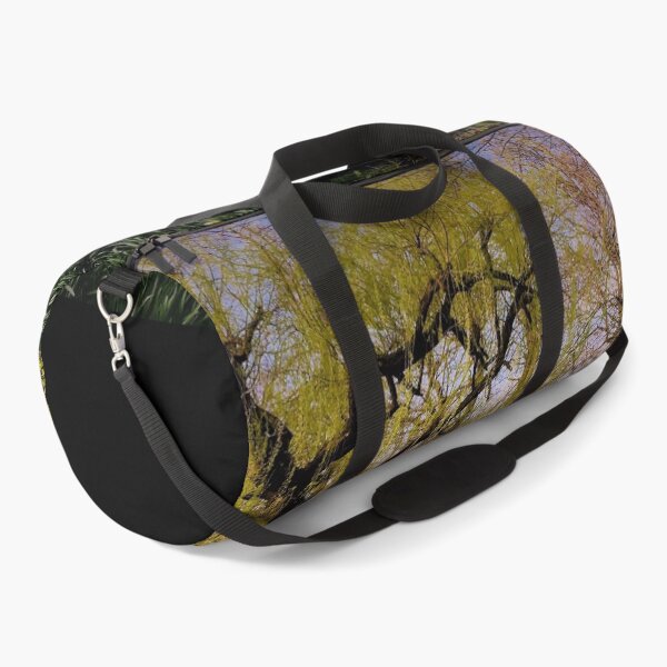 Item preview, England -Bushy Park- Spring designed and sold by joabaj.