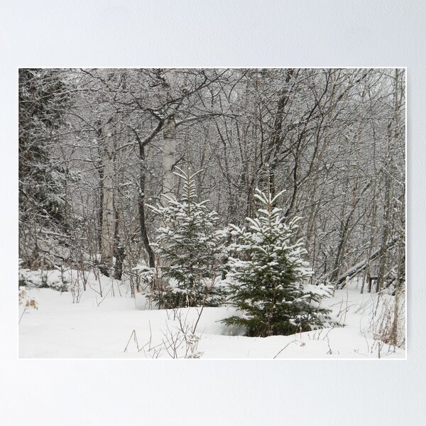 Item preview, Sugared Pines designed and sold by PeaceofNShore.