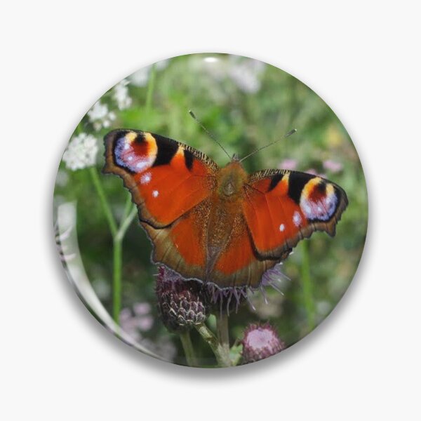 Artikelvorschau, Schmetterling im Blumenfoto entworfen und verkauft von terididcote.