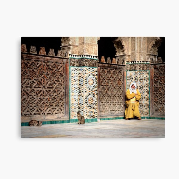 Sun bathing Canvas Print