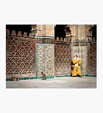 Sun bathing Photographic Print