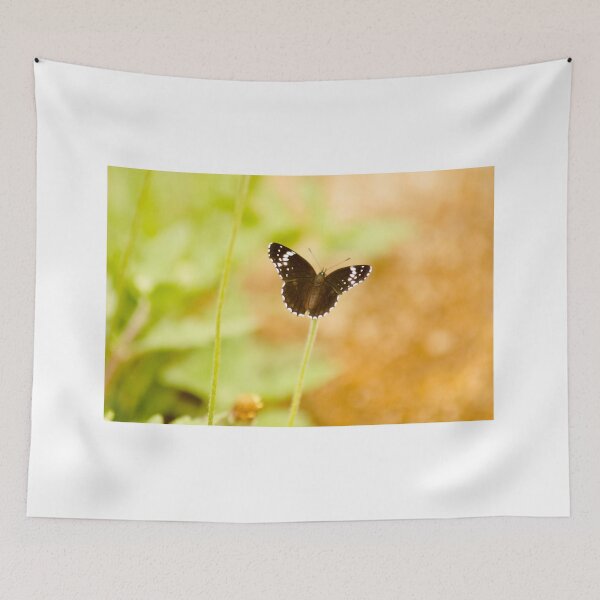 Item preview, oli native designed and sold by pcfyi.