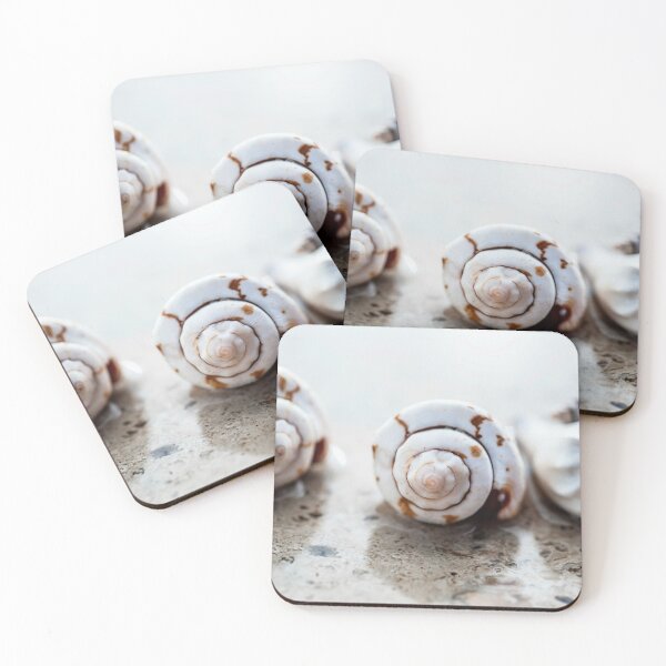 Item preview, Seashell And Water Elements designed and sold by Elena Ray.