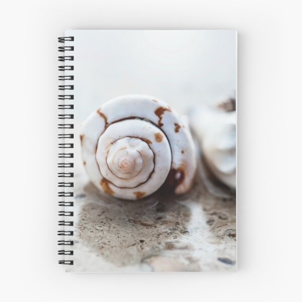 Item preview, Seashell And Water Elements designed and sold by Elena Ray.