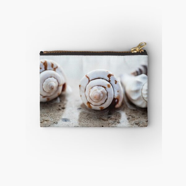 Item preview, Seashell And Water Elements designed and sold by Elena Ray.
