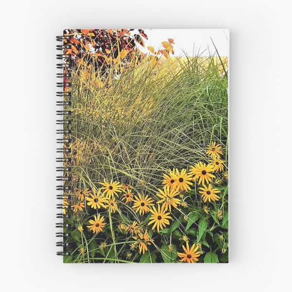 Item preview, Black-eyed Susans designed and sold by Lesliebc.
