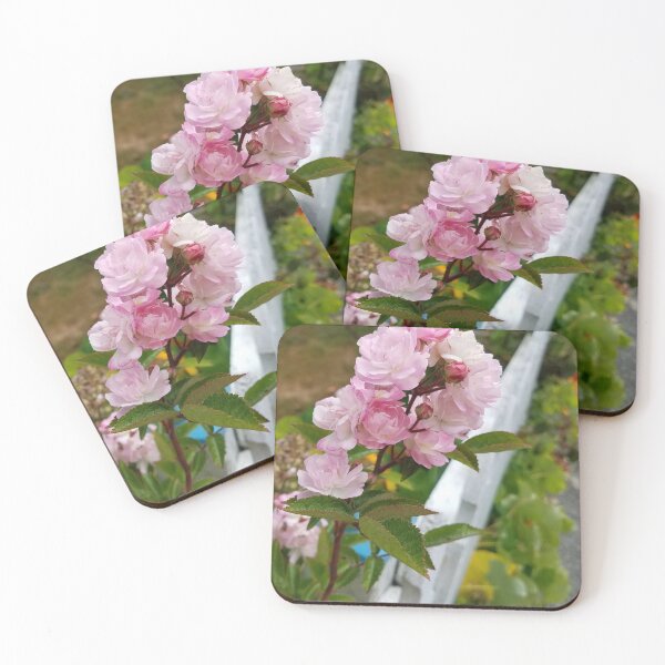 Item preview, Roses along a fence designed and sold by Mary Ellen Tuite.