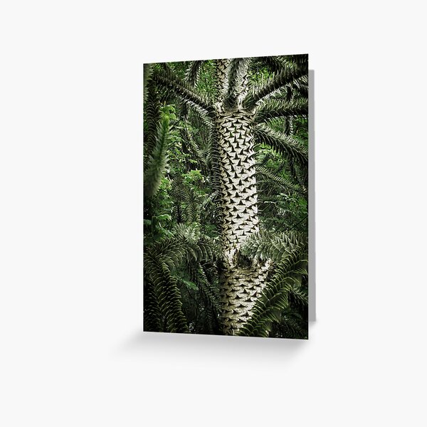 Monkey Puzzle Tree Greeting Card