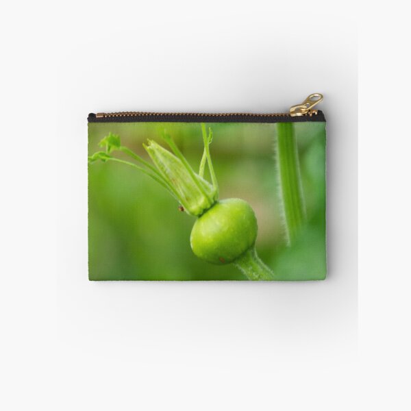 Item preview, oli new squash designed and sold by pcfyi.