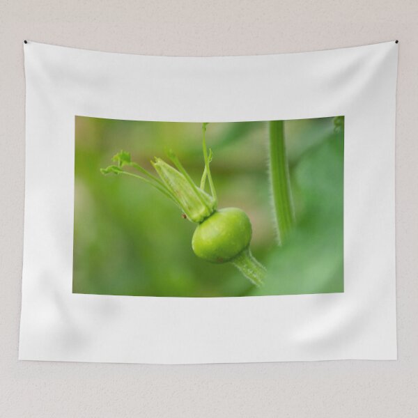 Item preview, oli new squash designed and sold by pcfyi.