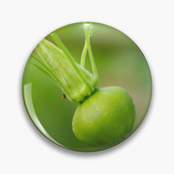 Item preview, oli new squash designed and sold by pcfyi.