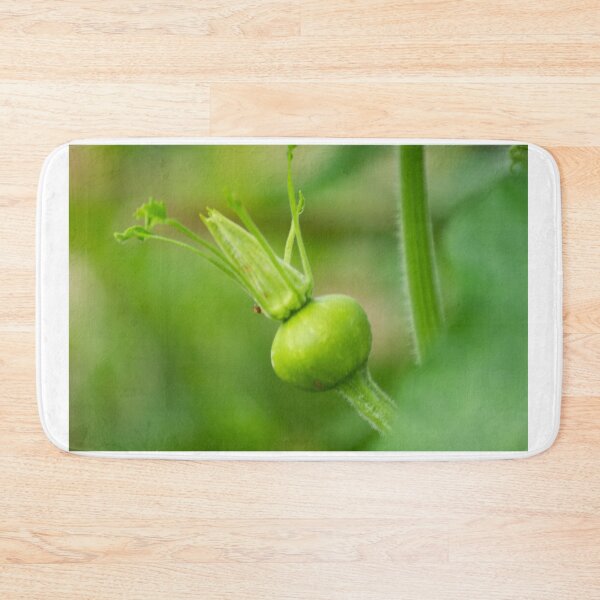 Item preview, oli new squash designed and sold by pcfyi.