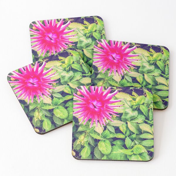 Pink Dahlia in the garden Coasters (Set of 4)