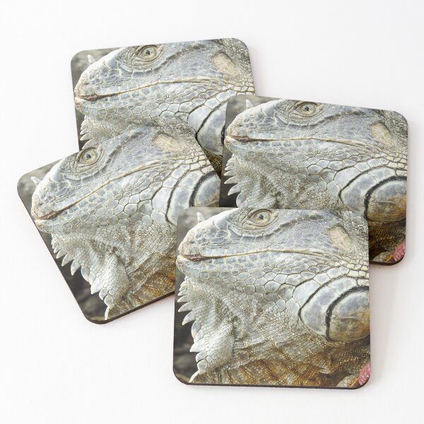 Item preview, oli red iguana designed and sold by pcfyi.