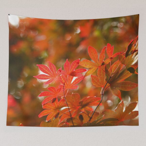 Item preview, Acer leaves designed and sold by Gaspar Avila.
