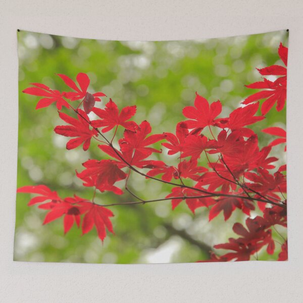 Item preview, Acer leaves designed and sold by Gaspar Avila.