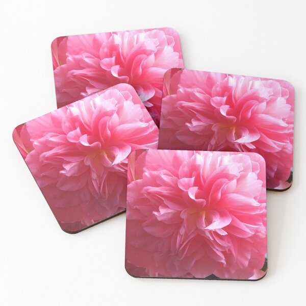 Item preview, Pink Begonias designed and sold by ColoradoCyd.