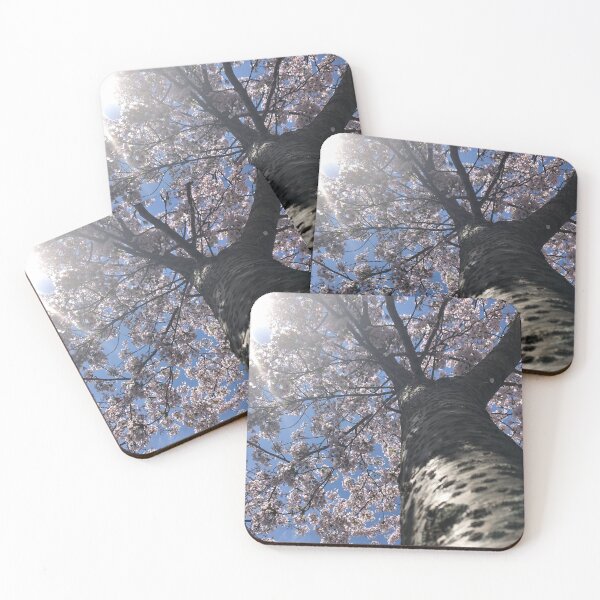 Item preview, Pink Birch Tree designed and sold by Artsyphotos8.