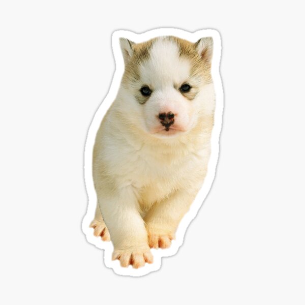 Puppy Sticker
