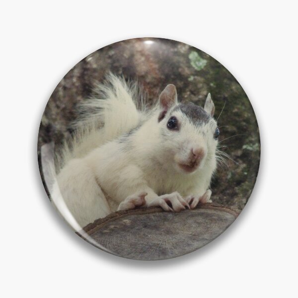 Item preview, Feeling Squirrelly designed and sold by Karen Peron.