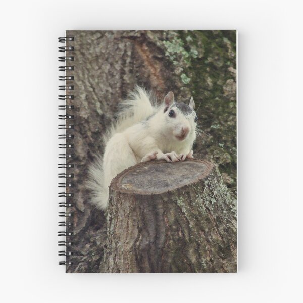 Item preview, Feeling Squirrelly designed and sold by Karen Peron.