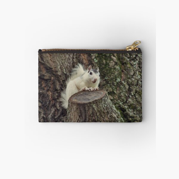 Item preview, Feeling Squirrelly designed and sold by Karen Peron.