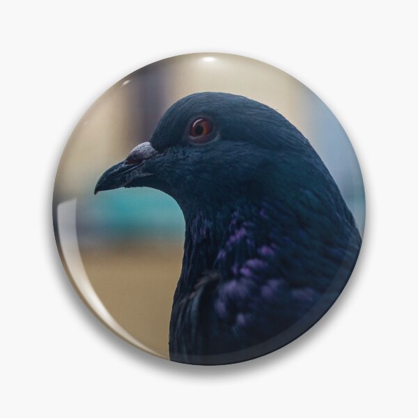 Item preview, Pigeon Close Up designed and sold by JmanInABox.