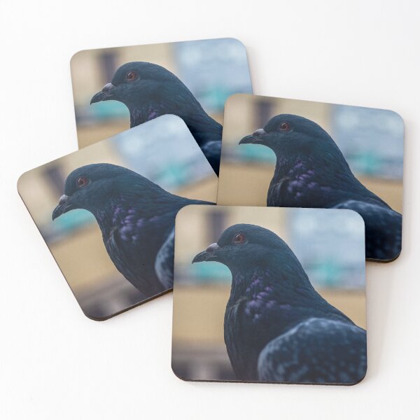 Item preview, Pigeon Close Up designed and sold by JmanInABox.