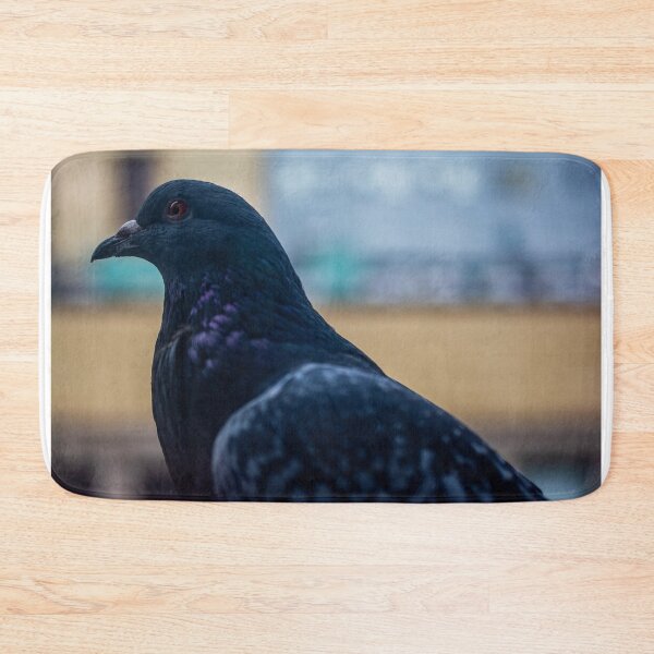 Item preview, Pigeon Close Up designed and sold by JmanInABox.
