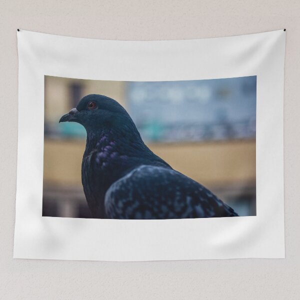 Item preview, Pigeon Close Up designed and sold by JmanInABox.