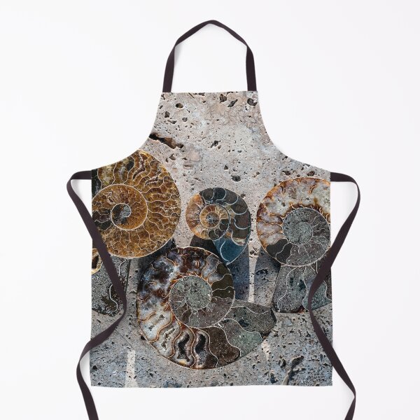 Item preview, Fossil Ammonite On Stone  designed and sold by Elena Ray.